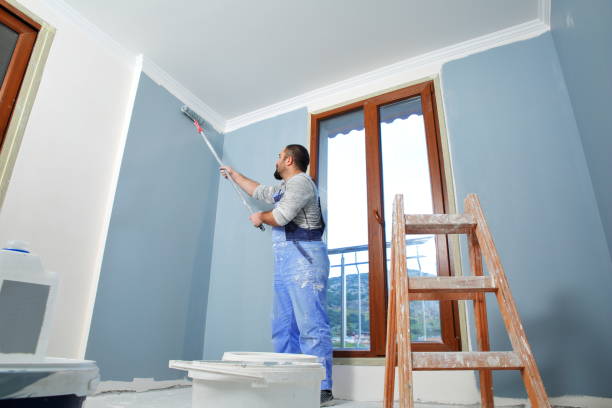 Best Drywall Removal and Disposal  in Dell Rapids, SD