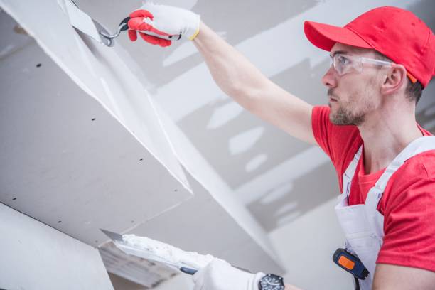 Best Drywall Installation  in Dell Rapids, SD